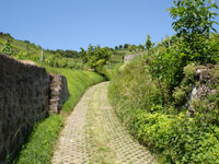 Feldweg am Schloßberg
